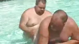 Une chienne se dépla ...