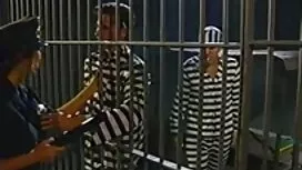 Ils ont créé une cam ...